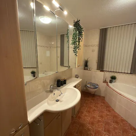 Schlossblick 公寓 Wildenau