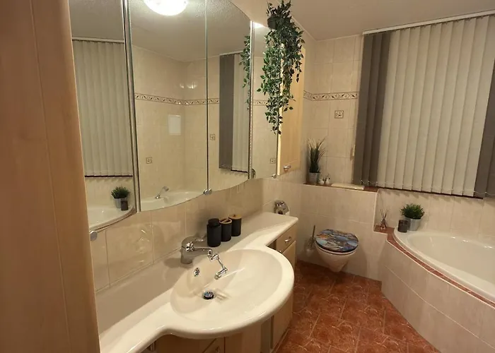 Schlossblick 公寓 Wildenau