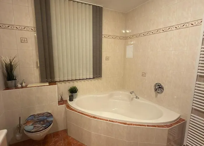 Schlossblick 公寓 Wildenau